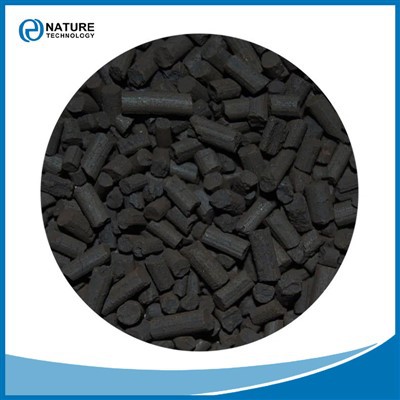 Aktyvuota anglis katalizatoriaus nešikliui